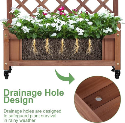 Raised Garden Bed with Trellies 2 Pack, Outdoor Wooden Planter Box for Climbing Plants, Vegetables Herb Growing