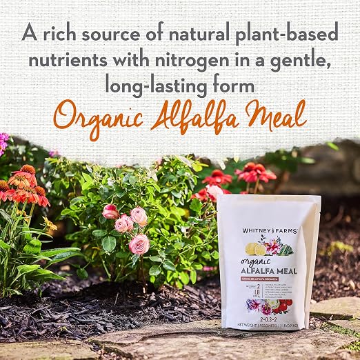 Whitney Farms Organic Alfalfa Meal 2-0.3.2 - Slow-Release Nitrogen Fertilizer and Soil Enhancer for Vegetables, Flowers, Roses, Herbs, and Shrubs, 2 lb.