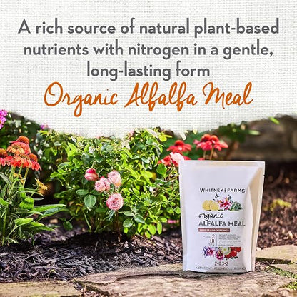 Whitney Farms Organic Alfalfa Meal 2-0.3.2 - Slow-Release Nitrogen Fertilizer and Soil Enhancer for Vegetables, Flowers, Roses, Herbs, and Shrubs, 2 lb.