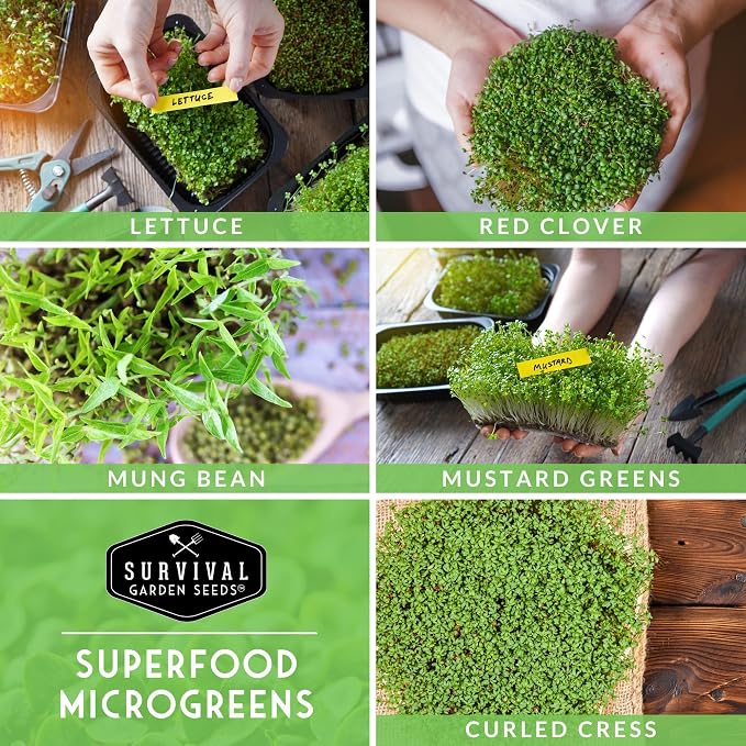 Microgreens Seeds Variety Pack - 5 Heirloom Types for Indoor Sprouting | Mustard, Mung Bean, Curled Cress, Clover & Lettuce – Fast-Growing Non-GMO Heirloom Starter Seeds – Survival Garden Seeds