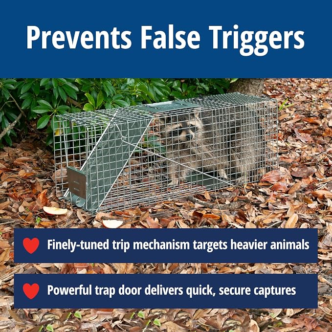 Havahart Large 1-Door Live Animal Trap for Raccoons, Cats, Bobcats, Beavers | Heavy Duty Humane Catch and Release Cage Trap for Outdoor Pest Control, 1079SR