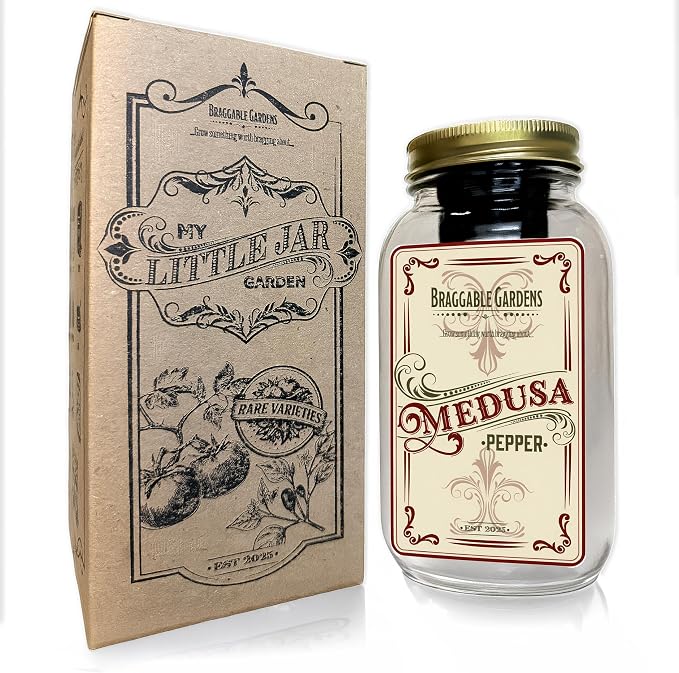 Medusa Pepper Indoor Garden Kit – Mason Jar Hydroponic Pepper Grow Kit – Windowsill Countertop Pepper Plant – Grow Ornamental Chili Peppers Indoors