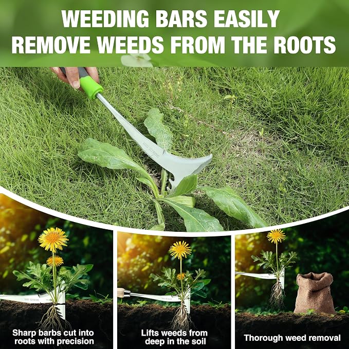 WORKPRO Crack Weeder, 12.5" Stainless Steel Crevice Weeding Tool Weeder Tool | Soft PP+TPR Handle, L-Shaped Side-Walk Weed Removal Scraper, for Garden Lawn Yard Patio Terrace Paving