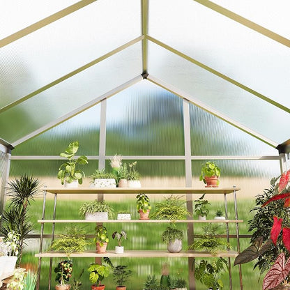 6X6 Ft Polycarbonate Greenhouse Sunroom with Aluminum Frame, Outdoor Greenhouse for Vegetables Herbs Flowers, Lockable Door & Adjustable Roof Vent, Patio Backyard Greenhouse Kit for Gardening, Silver