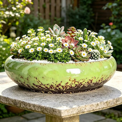Succulent Pots, 10 Inch, Shallow Planter with Drainage for Succulent Planters, Bonsai Pots & Cactus Pots, Plant Pots, Ceramic Planters for Indoor Plants - Perfect for Home Offie Garden Decor, Green