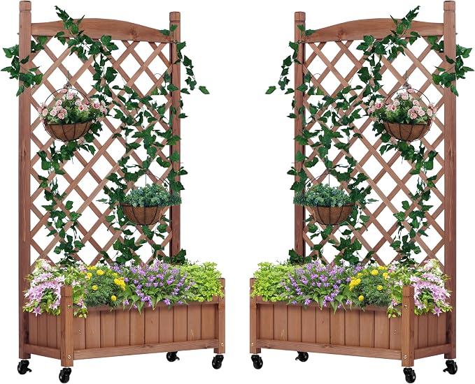 Raised Garden Bed with Trellies 2 Pack, Outdoor Wooden Planter Box for Climbing Plants, Vegetables Herb Growing