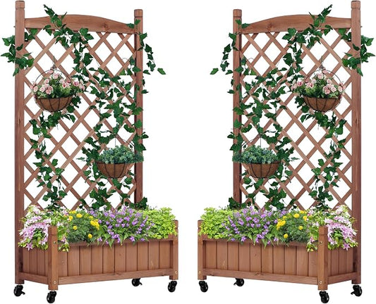 Raised Garden Bed with Trellies 2 Pack, Outdoor Wooden Planter Box for Climbing Plants, Vegetables Herb Growing