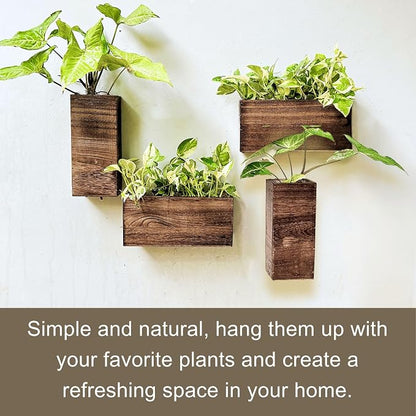 LaLaGreen Wooden Wall Planters (4 Pack) Hanging Wood Planter Box for Plants | Indoor Boxes Plant Holder Vase for Dried Flowers, Modern Table Centerpiece Living Room Bedroom Kitchen Home Office Decor