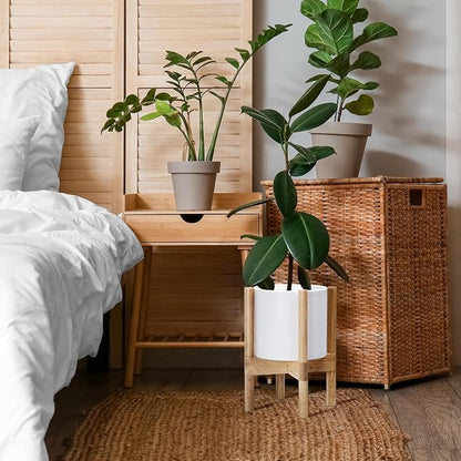 D'vine Dev Plastic Pot with Natural Wood Stand, White, 8 in, 55-C-J-1 | Mid-Century Inspired Design, Elevated Plant Display, Clean Lines, Sturdy Support, Modern Space-Saving Style