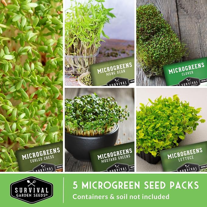 Microgreens Seeds Variety Pack - 5 Heirloom Types for Indoor Sprouting | Mustard, Mung Bean, Curled Cress, Clover & Lettuce – Fast-Growing Non-GMO Heirloom Starter Seeds – Survival Garden Seeds