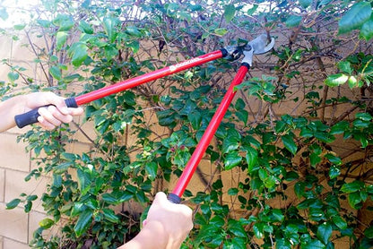 Corona SL 3310 Bypass Lopper, 24" Steel Handles, 1-1/2" Cut