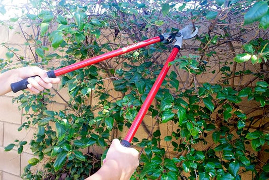 Corona SL 3310 Bypass Lopper, 24" Steel Handles, 1-1/2" Cut
