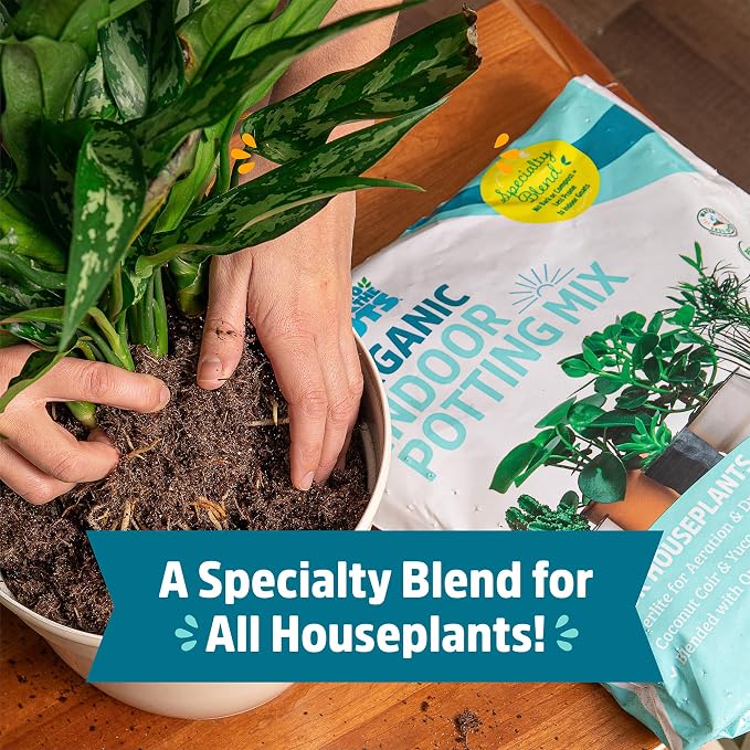 Back to the Roots 100% Organic Indoor Potting Mix (Value 12 Quart) | Promotes Healthy Houseplant Growth| Made in The USA
