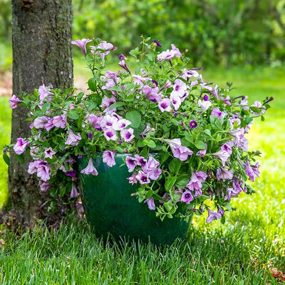 Sunnydaze Large Ceramic Plant Pot - Round Outdoor Glazed Ceramic Planter Pot with Drainage - Resort - Dark Green - 14.5"