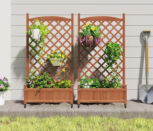 Raised Garden Bed with Trellies 2 Pack, Outdoor Wooden Planter Box & Plant Stand with Climbing Racks