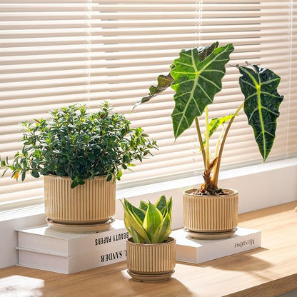 SURE YUESI Ceramic Plant Pots Set of 3, Indoor Outdoor Planters with Drainage Hole and Saucer, Ceramic Flower Pots for Indoor Plants, 4.3+5.5+6.8 Inch, Home, Garden, Patio and Office, Glossy Beige