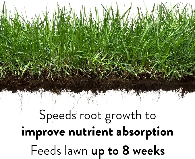 GreenView Lawn Food 16 lb. Bag, Covers 5,000 sq. ft. | 22-0-4 NPK formula - Restores soil nutrients - 8 weeks continuous feeding
