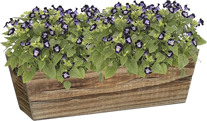 Classic Home & Garden GROWSCAPE Wood Window Box - Handled Buffalo Brown