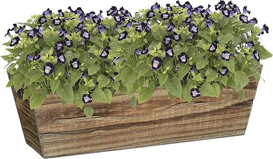 Classic Home & Garden GROWSCAPE Wood Window Box - Handled Buffalo Brown