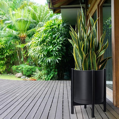 D'vine Dev Plastic Pot with Ebony Wood Stand, Black, 16 in, 55-C-Z-2 | Mid-Century Inspired Design, Elevated Plant Display, Clean Lines, Sturdy Support, Modern Space-Saving Style