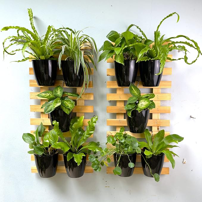 LaLaGreen Indoor Wall Planters (5in, 10 Pack) Self Watering Hanging Pots | Eco Wall Mounted Planter System Living Plant Holder Trendy Live Wall Garden Outdoor for Herb Garden Home Decor
