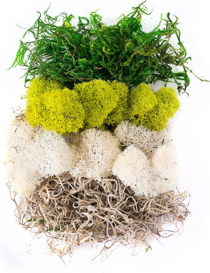 SuperMoss (23301) Moss Mix – Premium Decorative Moss for Crafts, Terrariums, Wedding & Table Décor, 80.75 cu in, Carolina