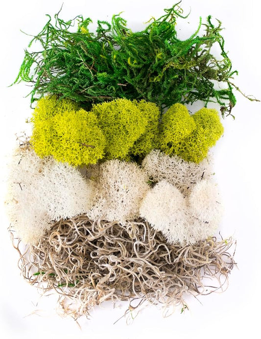 SuperMoss (23301) Moss Mix – Premium Decorative Moss for Crafts, Terrariums, Wedding & Table Décor, 80.75 cu in, Carolina