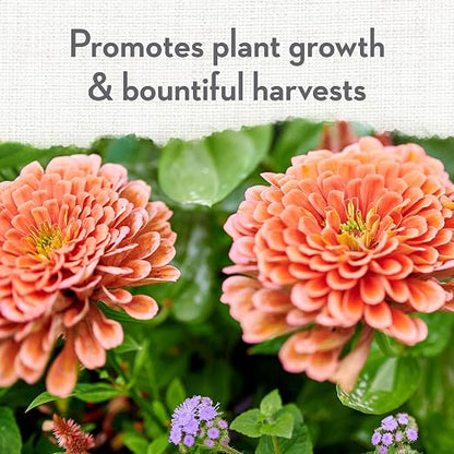 Whitney Farms Organic & Natural All Purpose Plant Food 9-2-6 - Fertilizer for Vegetable Garden, Flower Garden, In-Ground, Raised Bed, & Container Vegetables, Flowers, Fruits, and Herbs, 4 lb.