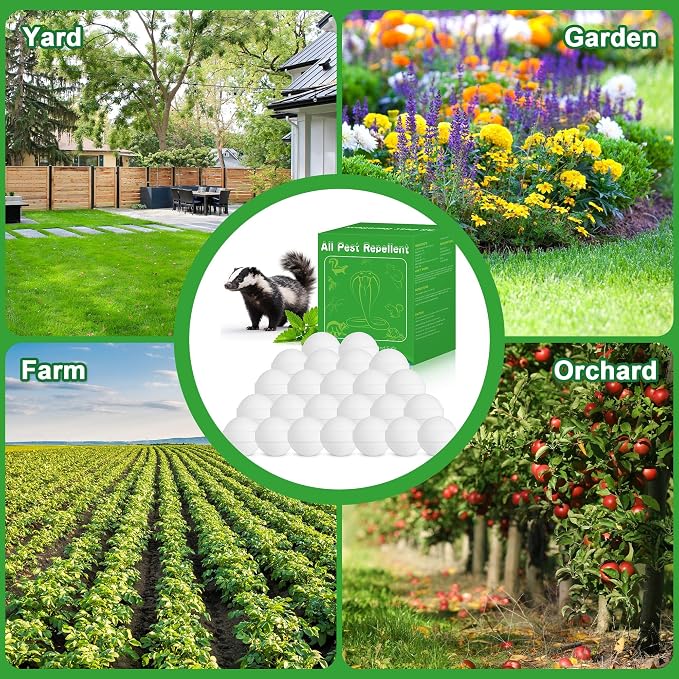 24Pack Skunk & Raccoon Repellent Outdoor - Natural Animal Deterrent for Yard, Garden, Trash Cans, Attic, Patio, Garage, Long Lasting Outdoor Repellent