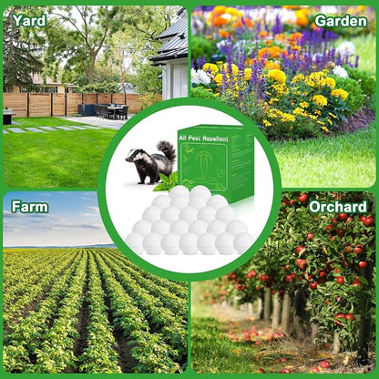 24Pack Skunk & Raccoon Repellent Outdoor - Natural Animal Deterrent for Yard, Garden, Trash Cans, Attic, Patio, Garage, Long Lasting Outdoor Repellent