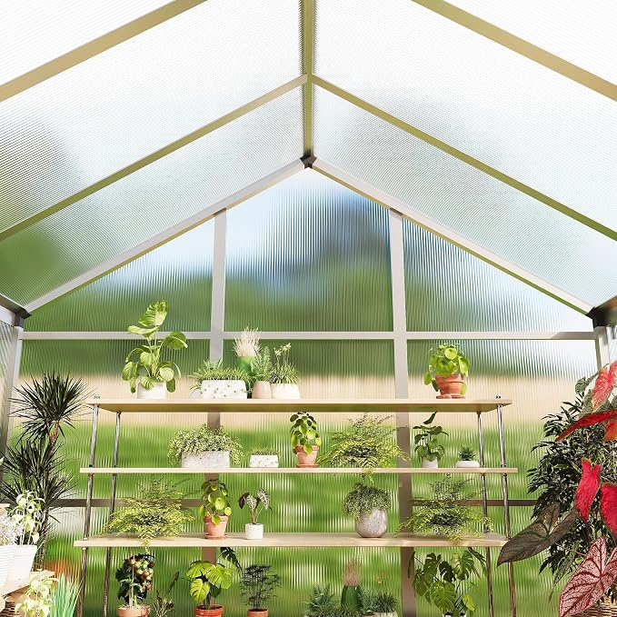 6X10 FT Greenhouse, Greenhouses for Outside, Aluminum Frame Polycarbonate Panels with Sliding Lockable Door and Ajustable Roof Vent, Spacious Walk-in Design for Backyard, Garden, Patio, Silver