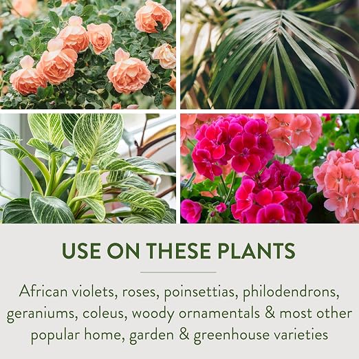Garden Safe Brand TakeRoot Rooting Hormone, 2 Count, Powder Helps Grow New Plants from Cuttings Including Most Home, Garden and Greenhouse Varieties, 2 Pack
