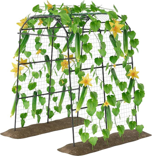 Miory Garden Arch Trellis for Climbing Plants Outdoor, 7ft Tall Plants Support Trellis for Climbing Vine Tomato Vegetable Flower Fruit, Cucumber Trellis for Raised Bed (71 x 83 Inch)