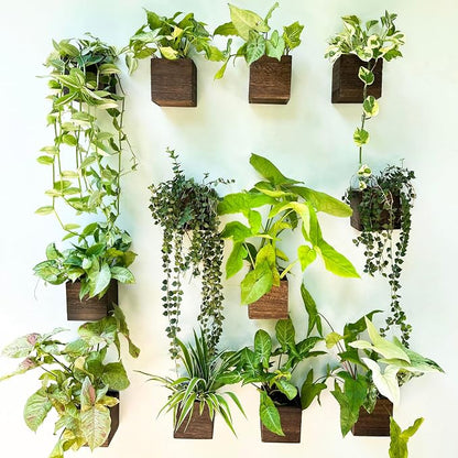 LaLaGreen Indoor Planter Box for Plants (4x4, 12 Pack) Wooden Wall Planters | Small Square Wood Window Boxes Hanging Flower Pot Plant Holder Outdoor Herb Modern Vertical Garden Home Decor
