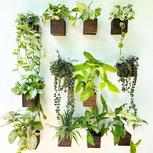 LaLaGreen Indoor Planter Box for Plants (4x4, 12 Pack) Wooden Wall Planters | Small Square Wood Window Boxes Hanging Flower Pot Plant Holder Outdoor Herb Modern Vertical Garden Home Decor