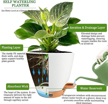 6 Inch Self Watering Pots for Indoor Plants(5-Pack) – Small Plastic Planters with Water Level Window, Drainage Holes & Detachable Trays, Indoor Outdoor Flower Pots for Herbs, Snake,Pothos(White)