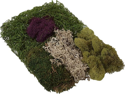 SuperMoss (23310) Moss Mix - Best Sellers, 80.75 Cubic Inch Bag (Appx. 2 Ounce)