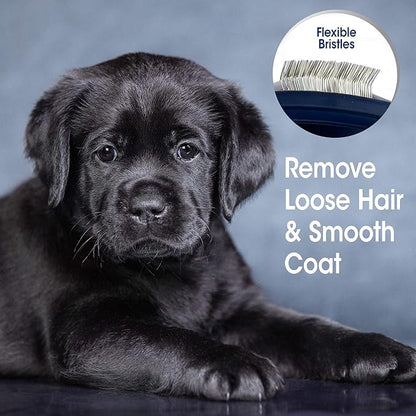 Four Paws Magic Coat Professional Series Grooming Tools - Trimmers, Nail Clippers, and Brushes for Pets