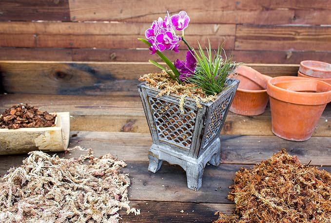 SuperMoss 7 59834 22303 0 Orchid Sphagnum Moss, 1400 in3 Bag (Appx. 32oz), Natural White