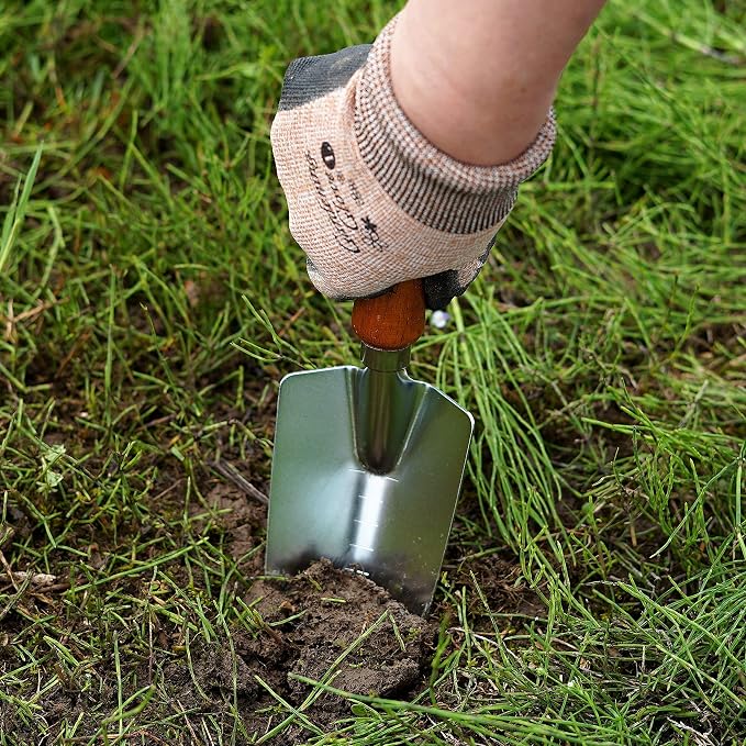 Japanese Garden Trowel Heavy Duty Japanese Steel with Wood Handle, Garden Transplanter Tool for Digging, Scooping, Transplanting, Made in Japan, Large Silver