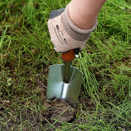 Japanese Garden Trowel Heavy Duty Japanese Steel with Wood Handle, Garden Transplanter Tool for Digging, Scooping, Transplanting, Made in Japan, Large Silver