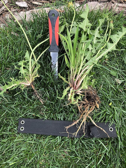 Keyfit Tools Weed Puller Weeding Knife for Deep Tap Root Weeds Like Dandelions, Crabgrass & Other Clump Grassy Weeds Stainless Steel Manual Weeder Get The Entire Root Great for Driveway & Sidewalks