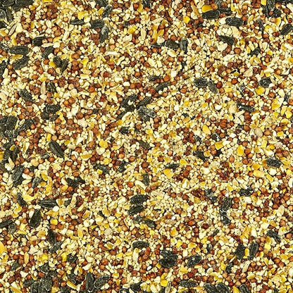 Kaytee All American Wild Bird Food Seed Blend for Cardinals, Blue Jays, Finches & Other Outdoor Wild Birds, 5 Pounds