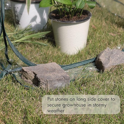 Gardzen 2-Pack 27"x27"x31" Pop up Grow Greenhouse Small Greenhouse, Steel Frame Portable Plant Flowers Mini Green House Zipper Cover for Outdoor & Indoor Use