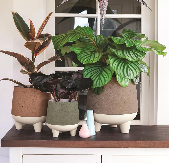 The HC Companies 8 Inch Orion Self Watering Planter - Lightweight Indoor Plastic Plant Pot for Herbs and Flowers, Greige