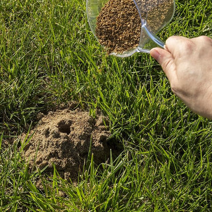 Spectracide Fire Ant Shield Mound Destroyer Granules 7 Pounds, Kills The Queen And Colony, 4 Pack