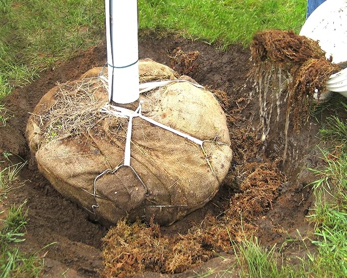 Mosser Lee ML0110 Long Fibered Sphagnum Moss – 432 cu in – High Water Retention, Soil-Free Gardening, Topiary Filler, Hanging Baskets, Crafts & Decoration | Absorbent Substrate, Soil-Free, for Gardening and Crafting, Soil Amendment and Basket Liner